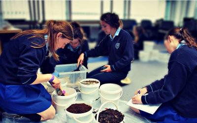 Charla Informativa Fast Track